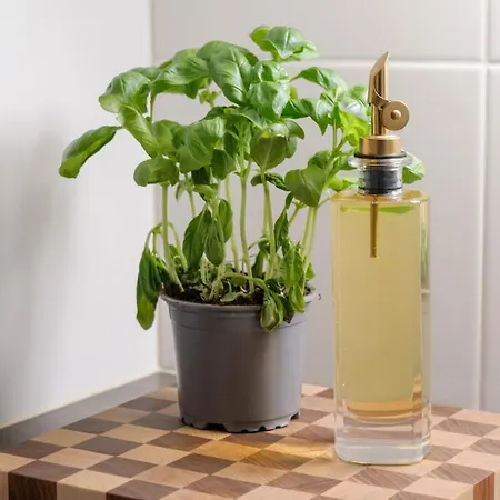 Arctos By Lapland Host * Rovaniemi