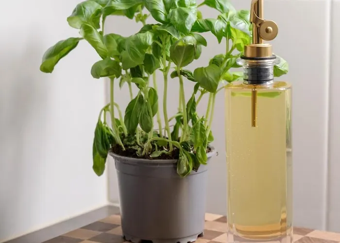 Arctos By Lapland Host * רובניימי